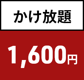 通話かけ放題 +1,600円